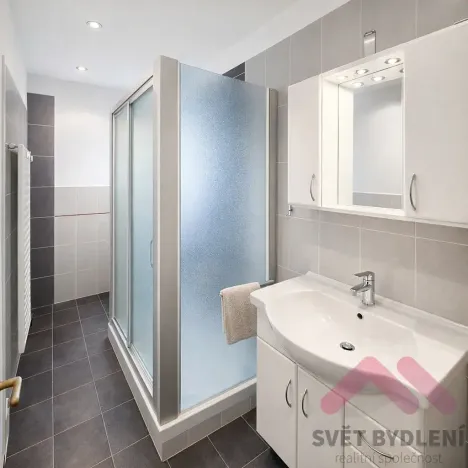 Prodej bytu 2+kk, Praha - Holešovice, U staré plynárny, 43 m2