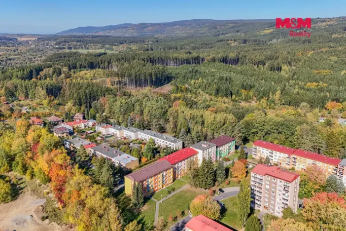 Prodej bytu 3+1, Mariánské Lázně - Úšovice, Mánesova, 63 m2