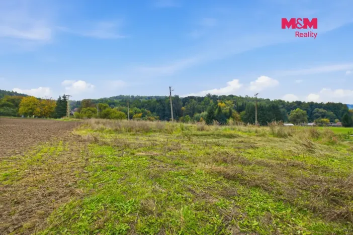 Prodej pozemku pro bydlení, Úštěk - Úštěk-Vnitřní Město, 1446 m2