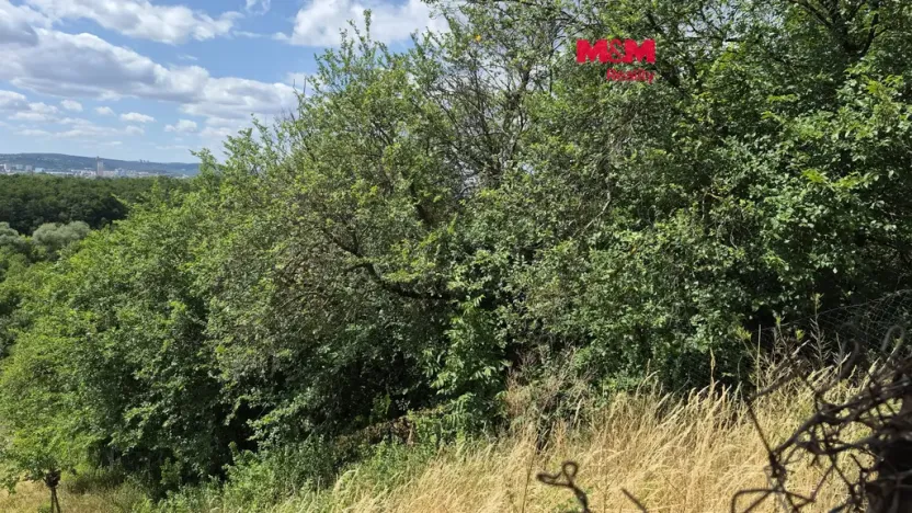 Prodej zahrady, Brno - Brněnské Ivanovice, 1358 m2