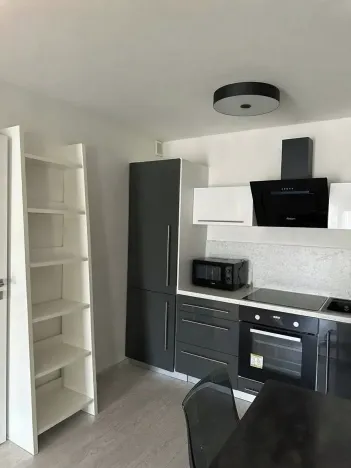 Pronájem bytu 2+kk, Praha - Karlín, U Mlýnského kanálu, 65 m2