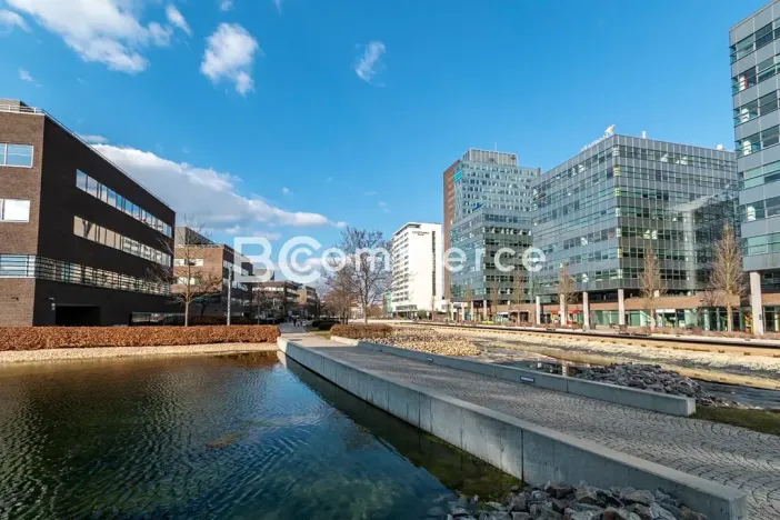 Pronájem kanceláře, Brno, 240 m2