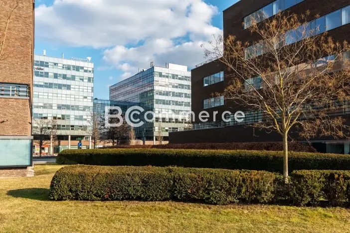 Pronájem kanceláře, Brno, 240 m2
