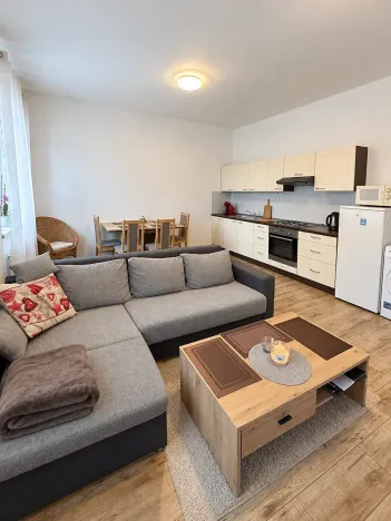 Prodej bytu 2+kk, Liberec, Na Bojišti, 50 m2