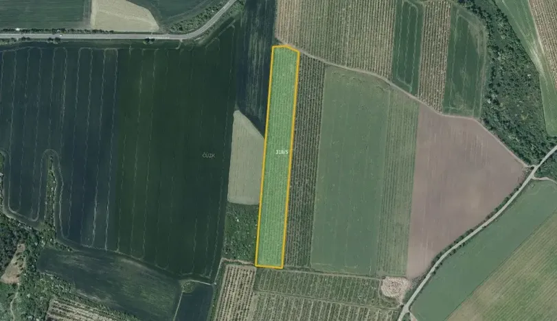 Prodej sadu/vinice, Želkovice, 20864 m2