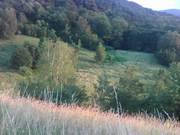Pronájem louky, Velké Březno, 39851 m2