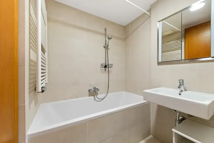 Prodej bytu 3+kk, Praha - Žižkov, Ke kapslovně, 88 m2