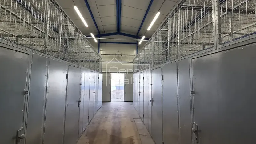 Pronájem bytu 3+kk, Sopřeč, 76 m2