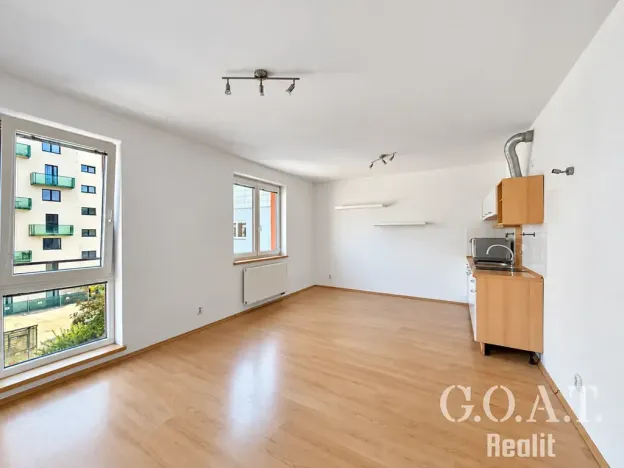 Prodej bytu 1+kk, Plzeň, Karlova, 44 m2