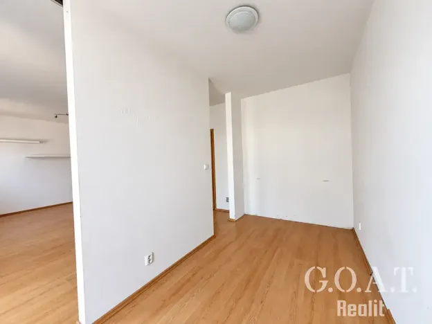 Prodej bytu 1+kk, Plzeň, Karlova, 44 m2