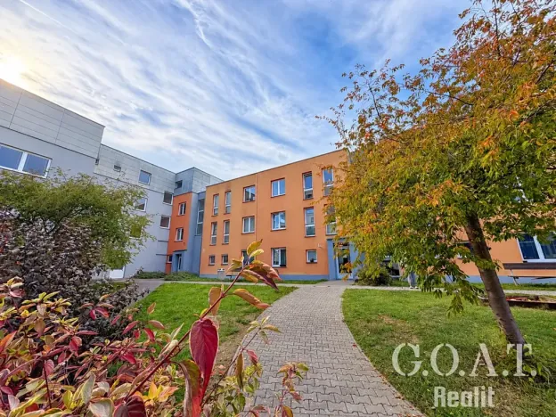 Prodej bytu 1+kk, Plzeň, Karlova, 44 m2