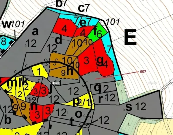 Dražba lesa, Kuřimany, 10437 m2