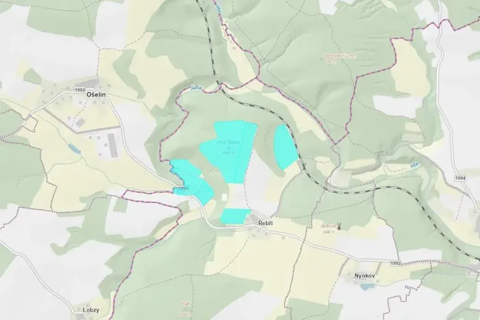 Dražba pozemku, Svojšín, 385333 m2
