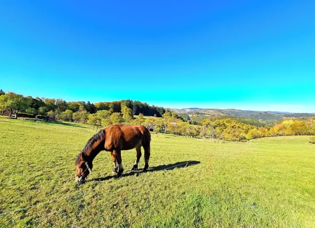 Prodej chalupy, Prlov, 180 m2