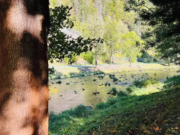 Prodej rodinného domu, Vír, 180 m2