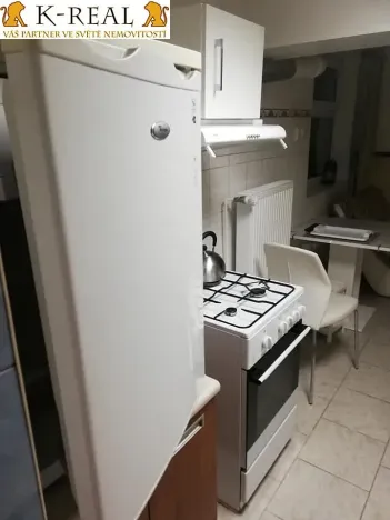 Pronájem bytu 1+1, Brno, V aleji, 40 m2