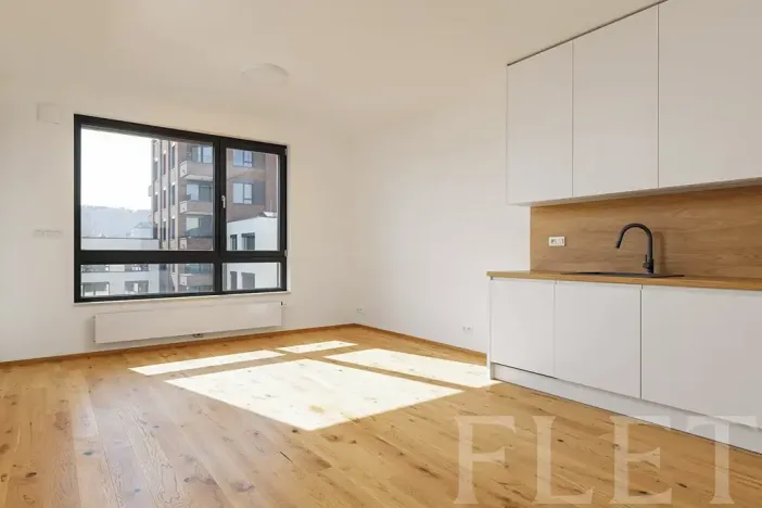Pronájem bytu 2+kk, Praha - Nusle, Závišova, 54 m2