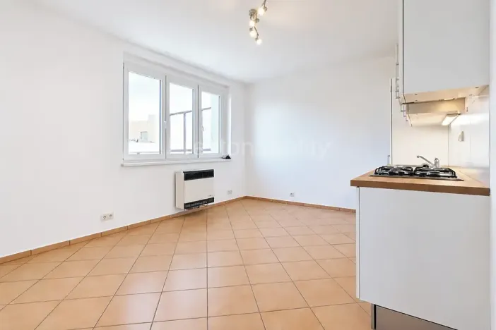 Pronájem bytu 2+kk, Praha - Nusle, Zdaru, 38 m2