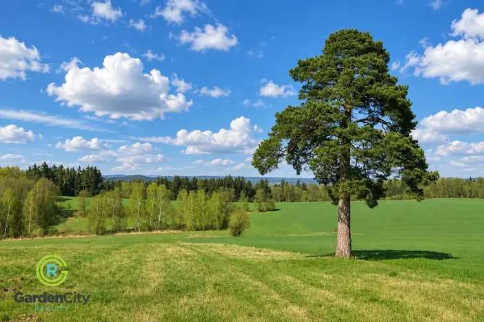 Prodej pozemku pro bydlení, Mirošovice, Pod Jiřím, 805 m2