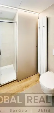 Pronájem bytu 1+kk, Velké Meziříčí, Zdenky Vorlové, 30 m2