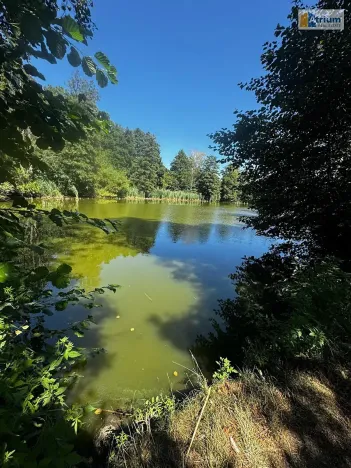 Pronájem zemědělské usedlosti, Ondřejov, Brožkova, 80 m2