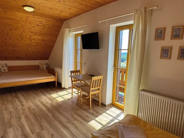 Prodej ubytování, Nové Hutě, 300 m2