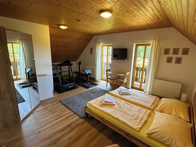 Prodej ubytování, Nové Hutě, 300 m2