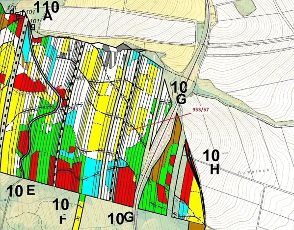 Dražba lesa, Nová Hradečná, 6750 m2