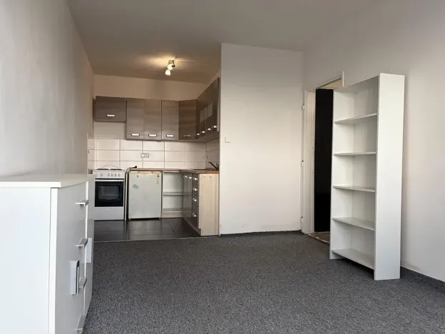 Pronájem bytu 2+kk, Litvínov, Přátelství, 52 m2