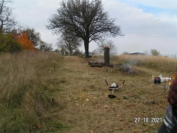 Prodej pozemku pro bydlení, Nížkovice, 996 m2