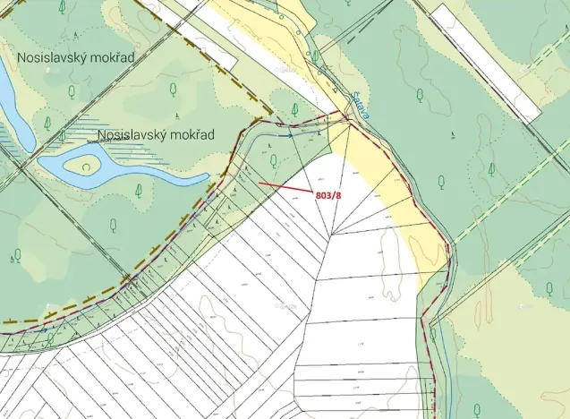 Dražba lesa, Přísnotice, 574 m2