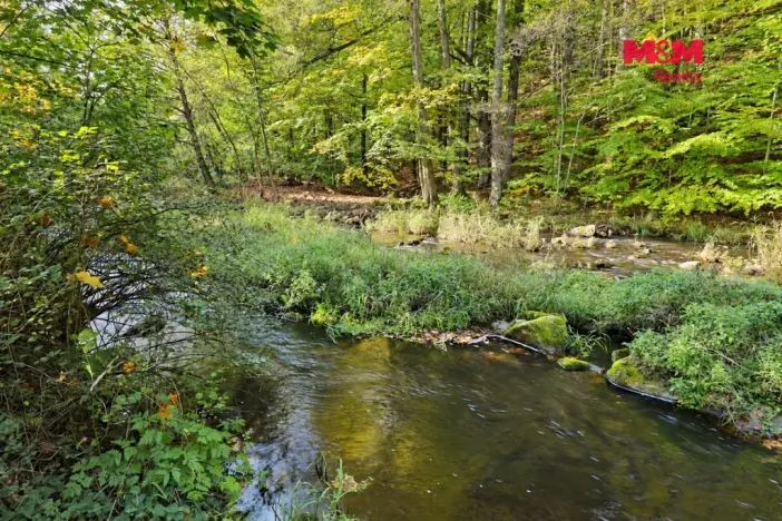 Prodej chaty, České Lhotice - Hradiště, 30 m2