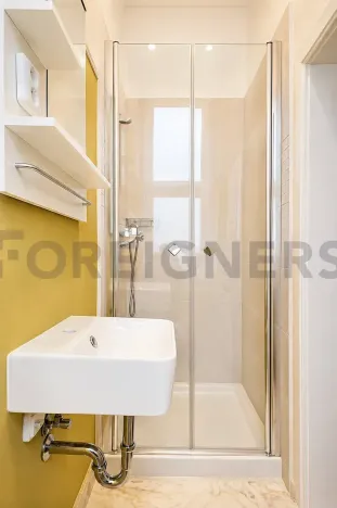 Pronájem bytu 3+1, Praha - Vinohrady, Korunní, 95 m2