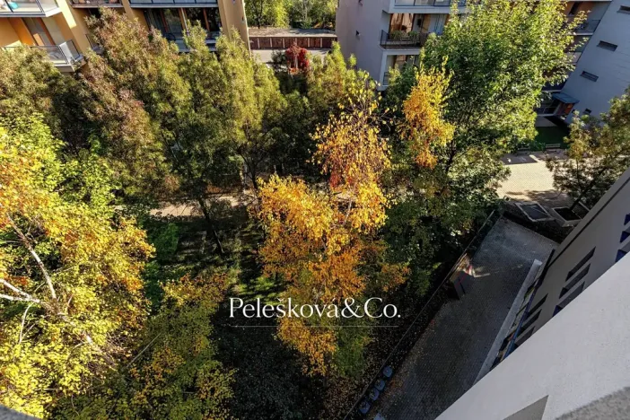 Pronájem bytu 1+kk, Praha - Holešovice, Jankovcova, 38 m2
