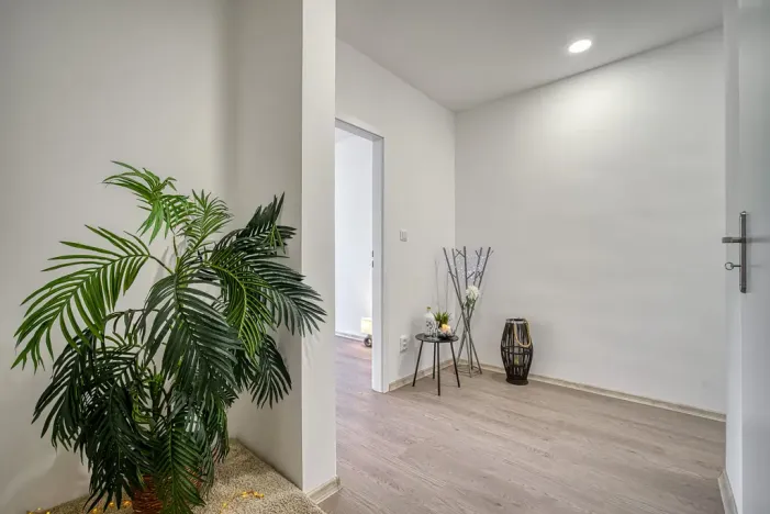 Pronájem bytu 2+1, Most, Zdeňka Fibicha, 55 m2