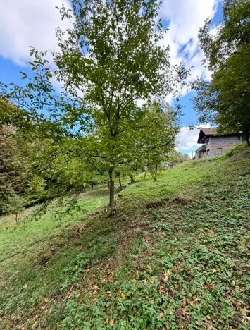 Prodej pozemku pro bydlení, Pržno, 6194 m2