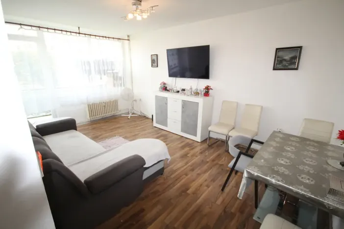 Pronájem bytu 2+1, Bílina - Teplické Předměstí, M. Švabinského, 55 m2