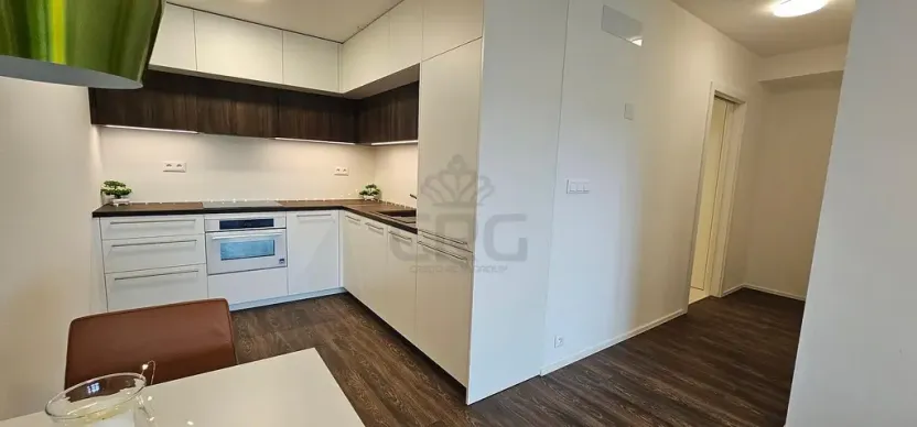 Pronájem bytu 2+kk, Brno - Veveří, Lidická, 55 m2