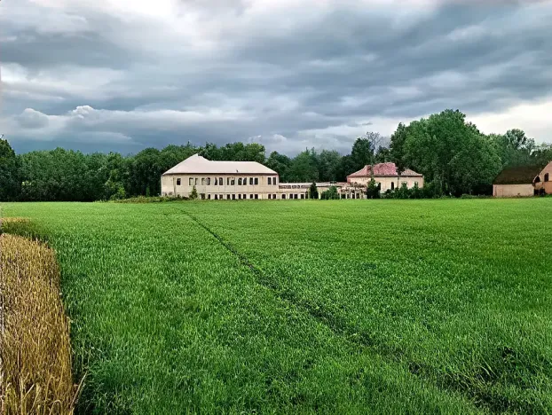 Dražba rodinného domu, Dolní Branná, 138 m2