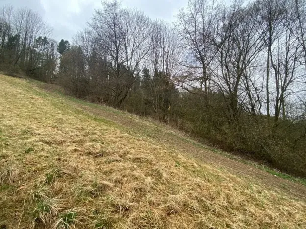 Dražba louky, Semily, 7826 m2