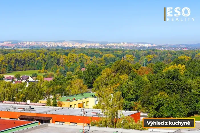 Prodej bytu 2+1, Ostrava, Lumírova, 61 m2
