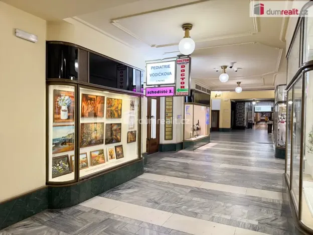 Pronájem obchodního prostoru, Praha - Nové Město, Vodičkova, 800 m2