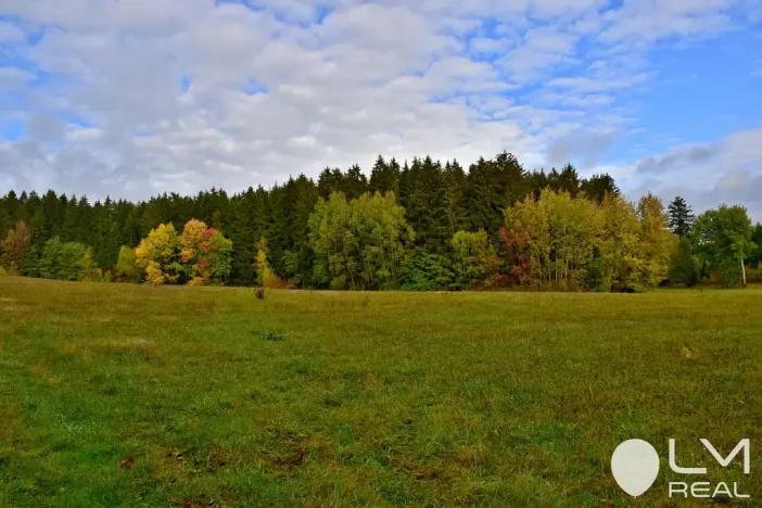 Prodej lesa, Řečice, 9184 m2
