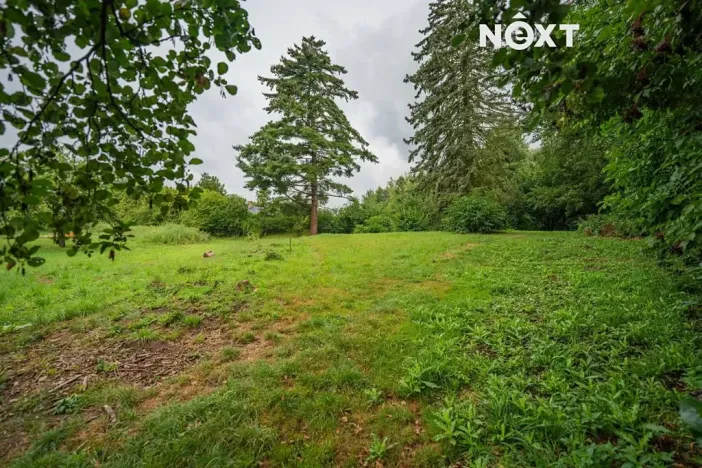 Prodej pozemku pro bydlení, Loštice, 3456 m2