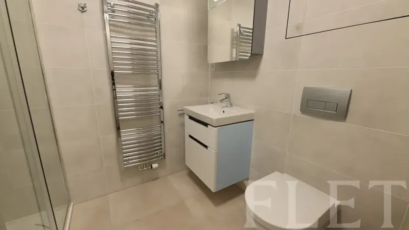 Pronájem bytu 1+kk, Praha - Žižkov, Hartigova, 38 m2