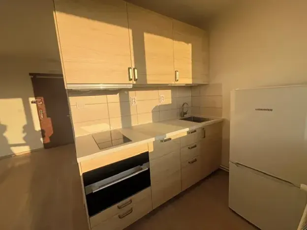 Pronájem bytu 1+kk, Praha - Karlín, Nekvasilova, 27 m2