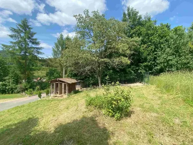 Dražba louky, Nedašova Lhota, 2790 m2