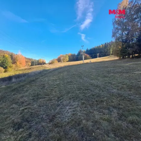 Prodej pole, Stará Ves, 8308 m2