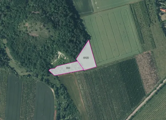 Prodej sadu/vinice, Želkovice, 16344 m2