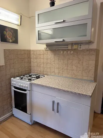 Pronájem bytu 1+1, Praha - Vinohrady, Řipská, 46 m2
